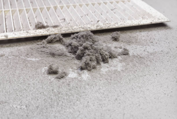 Best Residential Air Duct Cleaning  in University Gardens, NY
